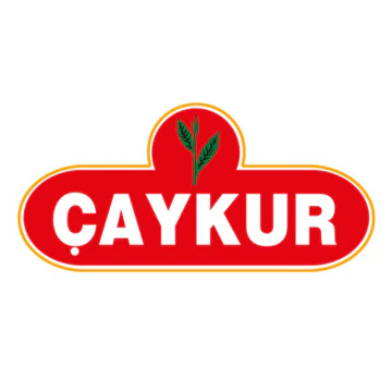 Caykur